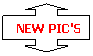 Up-Down Arrow Callout: new pic's
 
